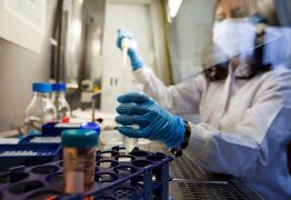 Indian-origin public health scientists Salim Abdool Karim and Keertan Dheda were honoured with South Africa’s highest civilian award, the Order of Mapungubwe